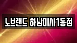 노브랜드 하남미사1동점