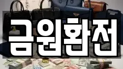 금원환전