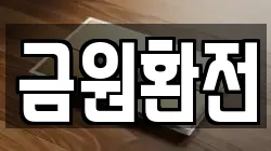 금원환전