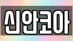 신안코아