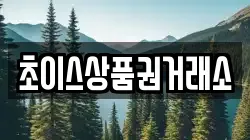 초이스상품권거래소