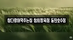 참다랑어막주는집 참치정육점 동탄호수점