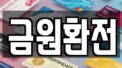금원환전