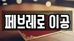 페브레로 이공
