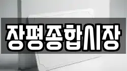 장평종합시장