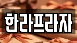 한라프라자