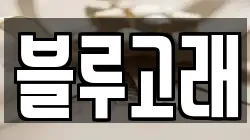 블루고래