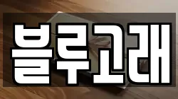 블루고래