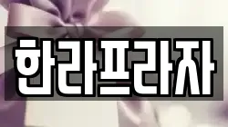 한라프라자