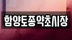 함양토종약초시장