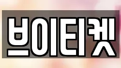 브이티켓