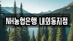 NH농협은행 내외동지점