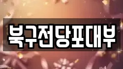 북구전당포대부