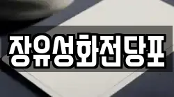 장유성화전당포