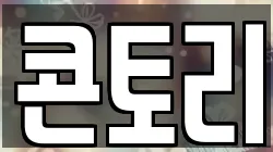 콘토리