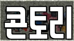 콘토리