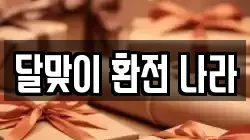 달맞이 환전 나라