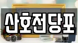 산호전당포
