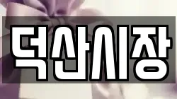 덕산시장