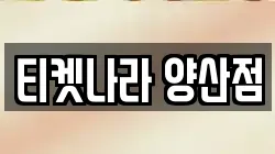 티켓나라 양산점