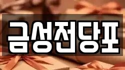금성전당포
