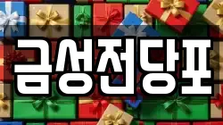 금성전당포