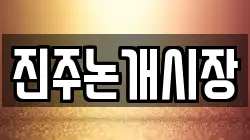 진주논개시장