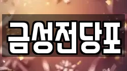 금성전당포