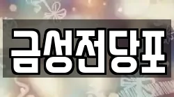 금성전당포