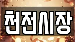 천전시장