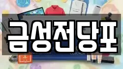 금성전당포