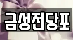 금성전당포
