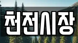 천전시장