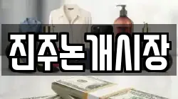 진주논개시장