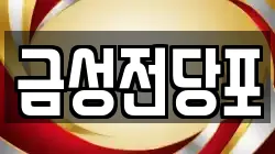 금성전당포