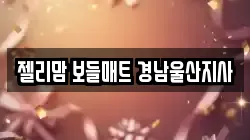 젤리맘 보들매트 경남울산지사