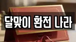 달맞이 환전 나라