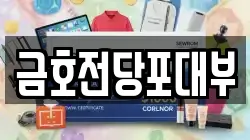 금호전당포대부
