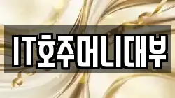 IT호주머니대부