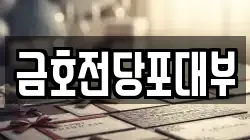 금호전당포대부