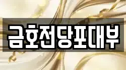 금호전당포대부