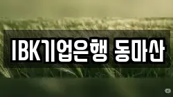 IBK기업은행 동마산