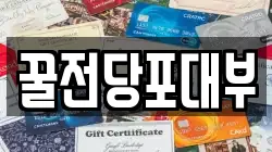 꿀전당포대부