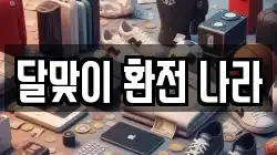 달맞이 환전 나라