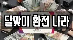 달맞이 환전 나라