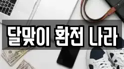 달맞이 환전 나라