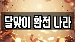 달맞이 환전 나라