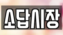 소답시장