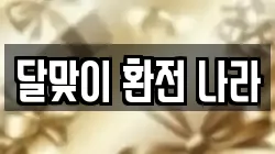 달맞이 환전 나라
