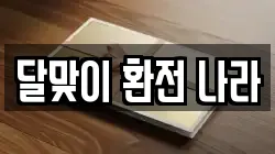 달맞이 환전 나라